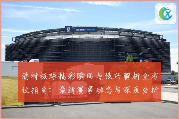 潘特板球精彩瞬间与技巧解析全方位指南：最新赛事动态与深度分析