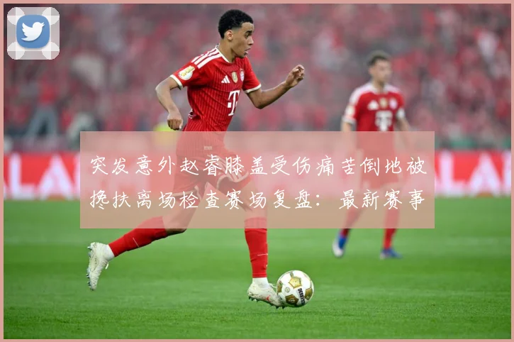 突发意外赵睿膝盖受伤痛苦倒地被搀扶离场检查赛场复盘：最新赛事动态与深度分析